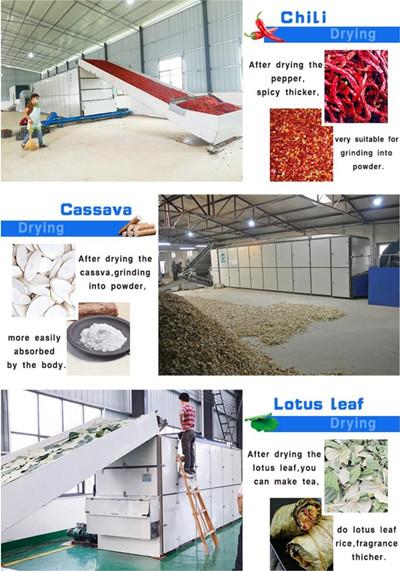 Belt Type Fruit and Vegetable Drying Machine 4