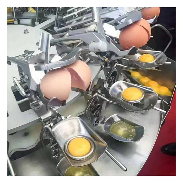 Pasteurised liquid egg and egg powder processing line 2