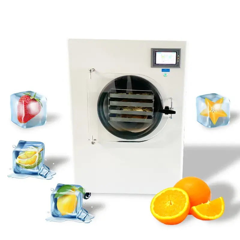 Small Vegetable Freeze Dryer  2