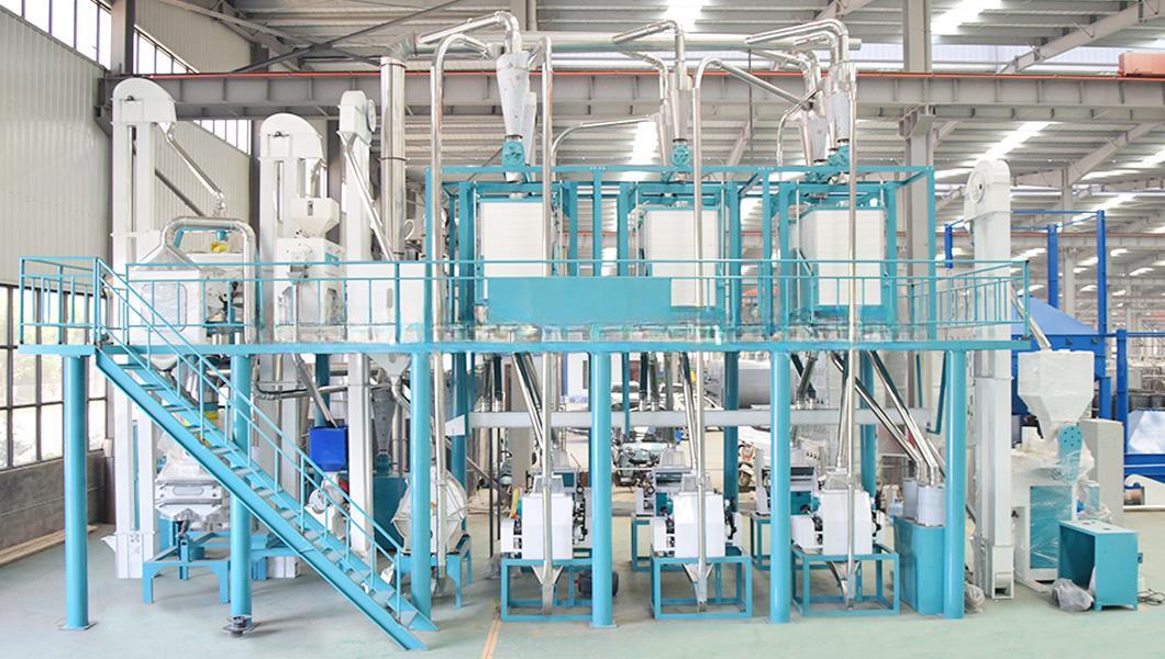 Industrial 50TPD Maize Flour Milling Plant – Complete Turnkey Production Line