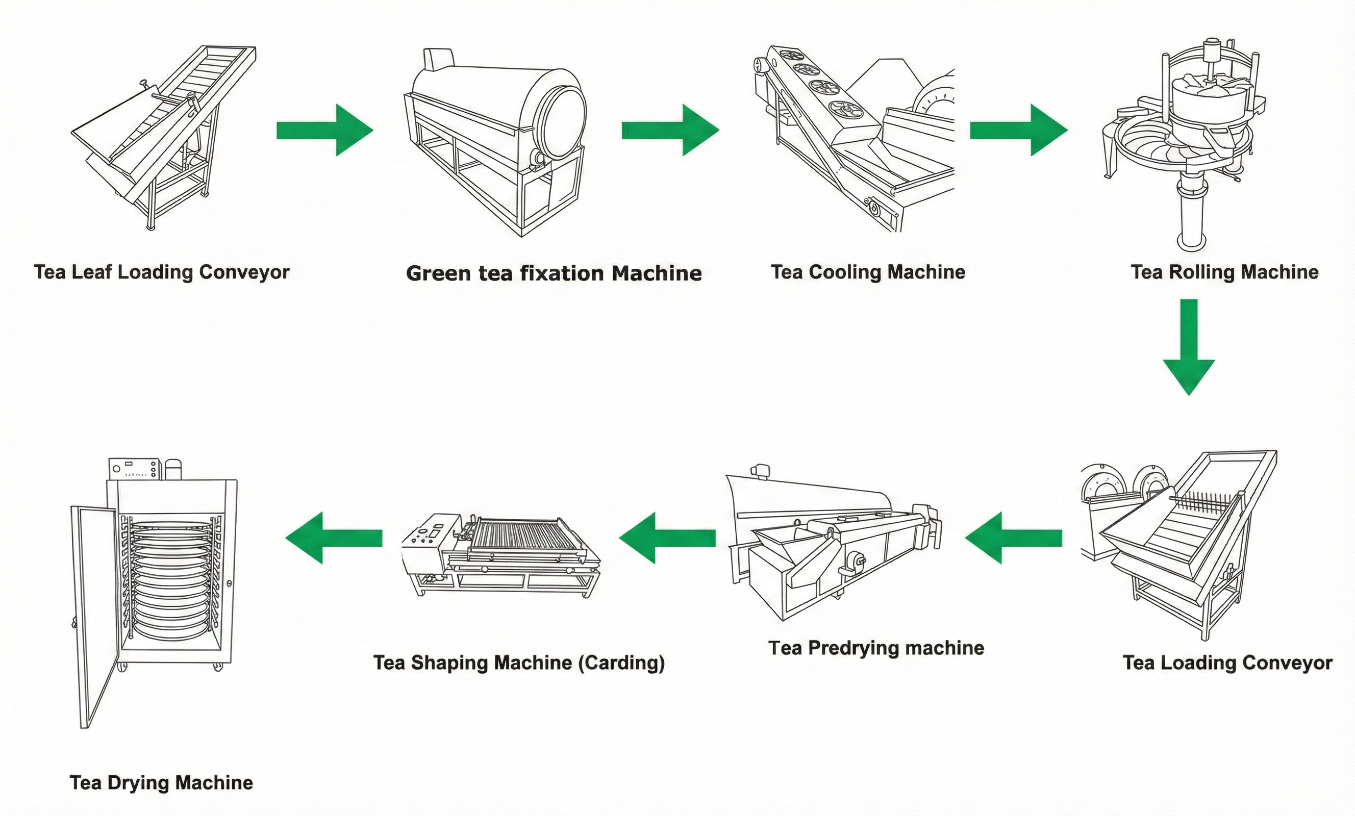 Turnkey Green Tea Production Solution – Stainless Steel Construction (500-800 KG/H Input)