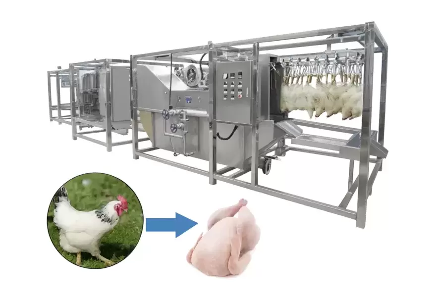 Maximisez votre production avec une ligne d’abattage automatisée performante et hygiénique