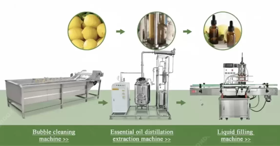 Transformez les plantes aromatiques en or liquide avec cette ligne complète d’huiles essentielles