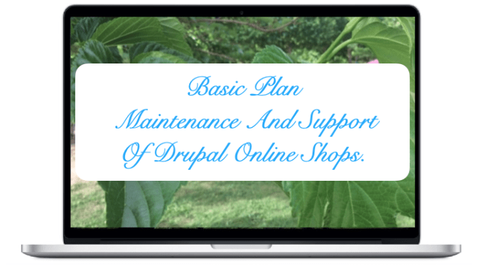 Basic - NIRUDI Maintenance And Support Of Drupal Online Shops.