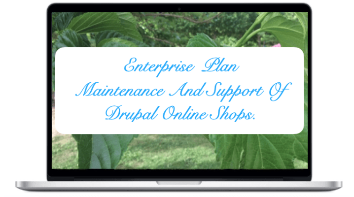 Enterprise - NIRUDI Maintenance And Support Of Drupal Online Shops. 
