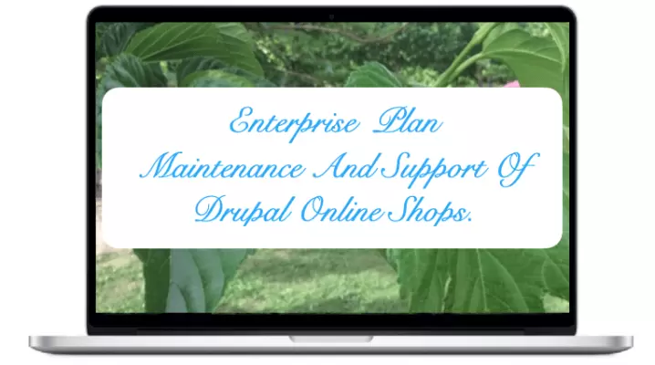Enterprise - NIRUDI Maintenance And Support Of Drupal Online Shops. 