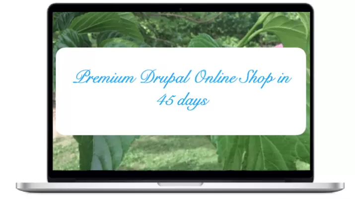 Premium - Drupal Online Shop in 45 days 