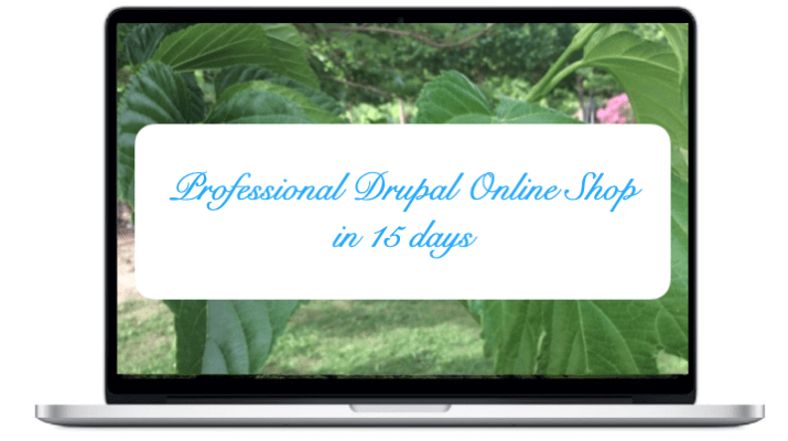  Professional - Drupal Online Shop in 15 days 