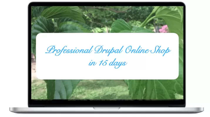 Professional - Drupal Online Shop in 15 days