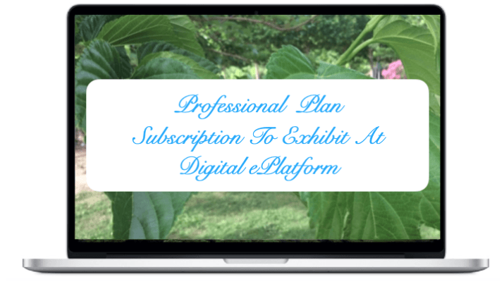  Professional Subscription Plan To Exhibit At NIRUDI Digital ePlatform. 