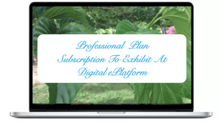  Professional Subscription Plan To Exhibit At NIRUDI Digital ePlatform. 