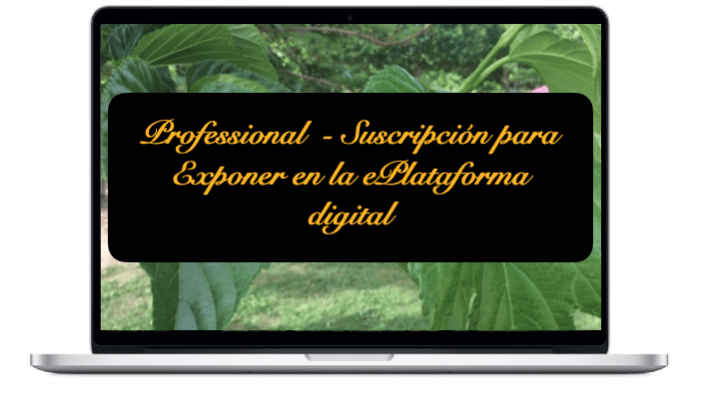  Professional - Plan de suscripción para exhibir en la ePlataforma digital NIRUDI. 