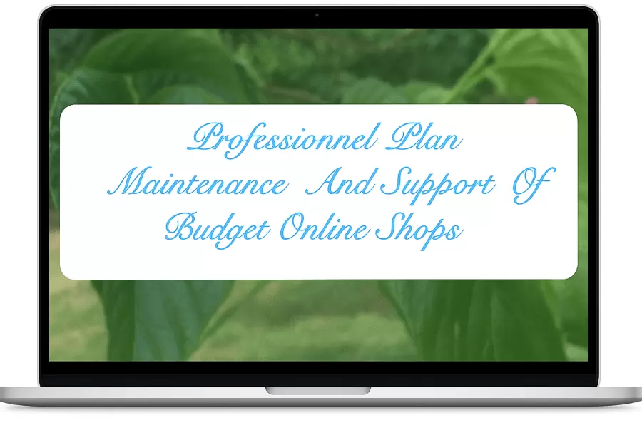  Professional - NIRUDI Maintenance And Support Of Drupal Online Shops. 