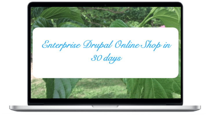 Entreprise - Drupal Online Shop in 30 days 