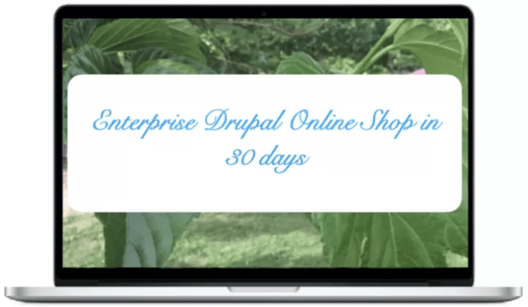 Entreprise - Drupal Online Shop in 30 days 
