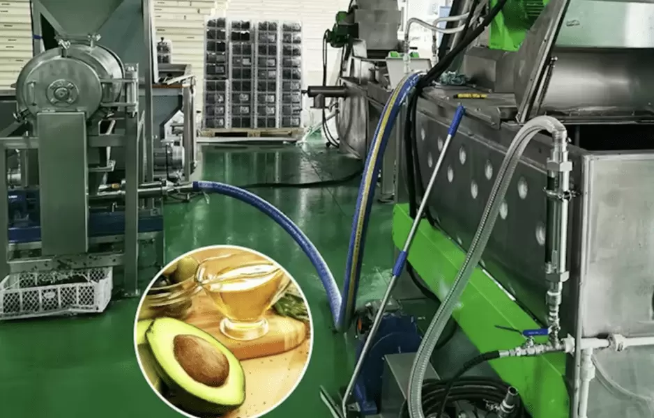 Request a quotation for turnkey avocado oil processing line today