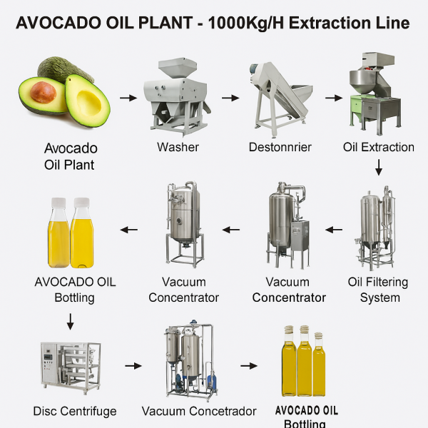 Avocado Oil Plant - 1000Kg/H Extraction Line 