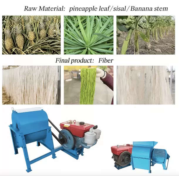 Banana Stem Fiber Processing Machine