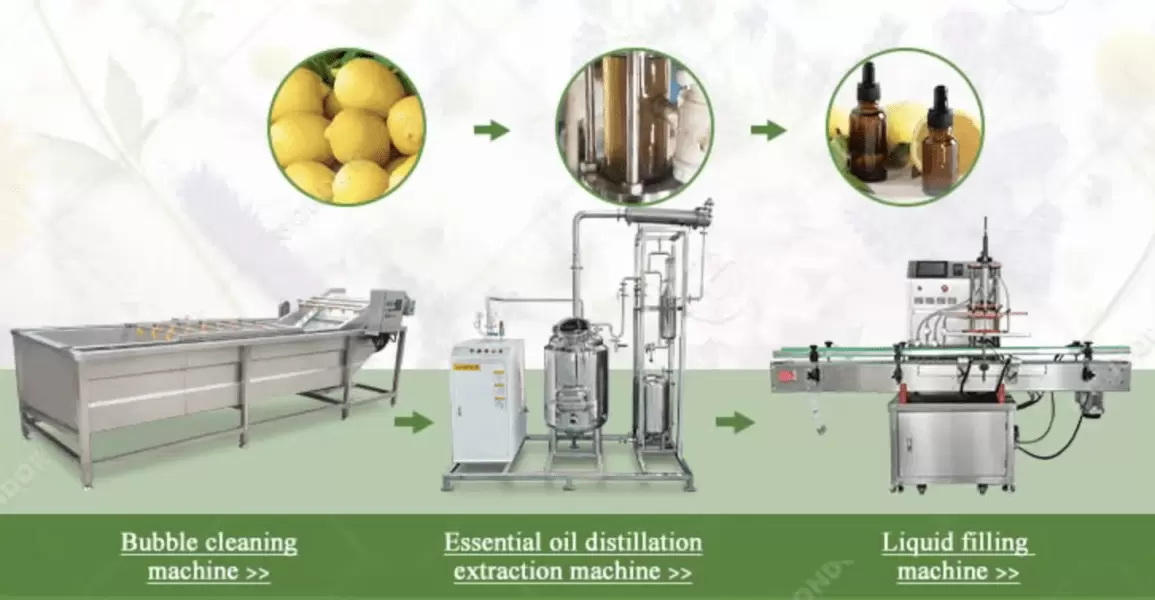 Transformez les plantes aromatiques en or liquide avec cette ligne complète d’huiles essentielles