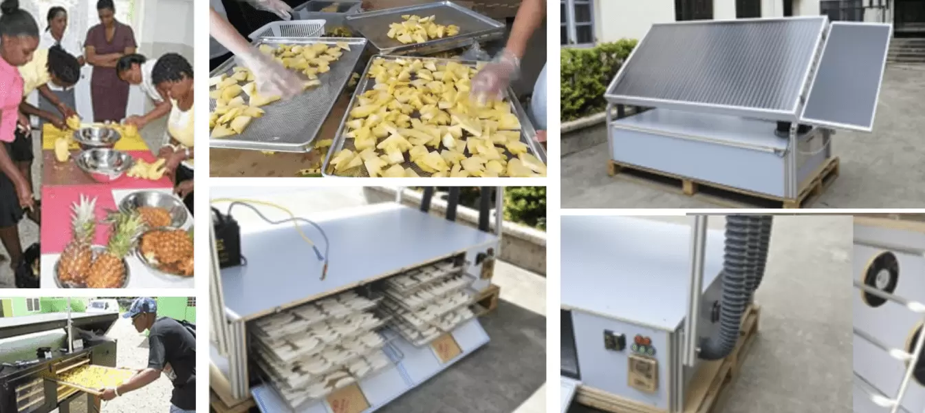 🍍 Investissez dans une ligne complète de production d’ananas séché ☀️