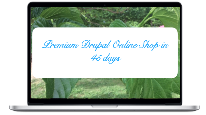 premium-drupal-online-shop-in-45-days.png