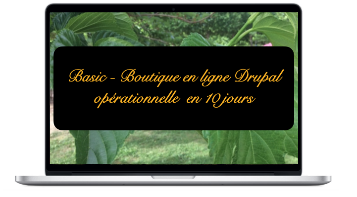 basic-boutique-en-ligne-drupal-operationnelle-en-10-jours