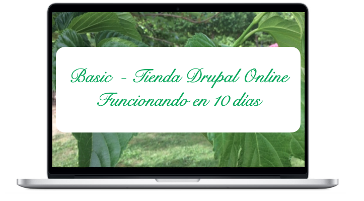 basic-tienda-drupal-online-funcionando-en-10-dias