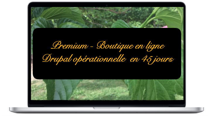 premium-boutique-en-ligne-drupal-operationnelle-en-45-jours_0