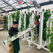 ZIP Hydroponic Grow Tower