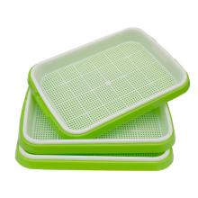 PP Material Sprout Trays