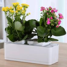 Mini Hydroponic Garden Planter