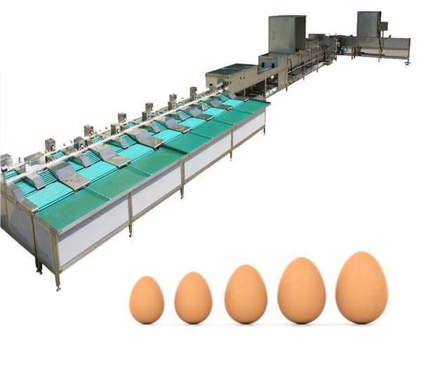 Automatic Egg Cleaning Grading Machine