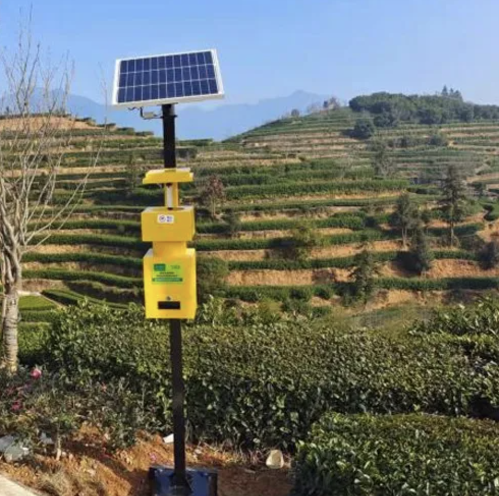 WIND SUCTION SOLAR INSECTICIDAL LAMP (INTERNET OF THINGS) RYWL-40