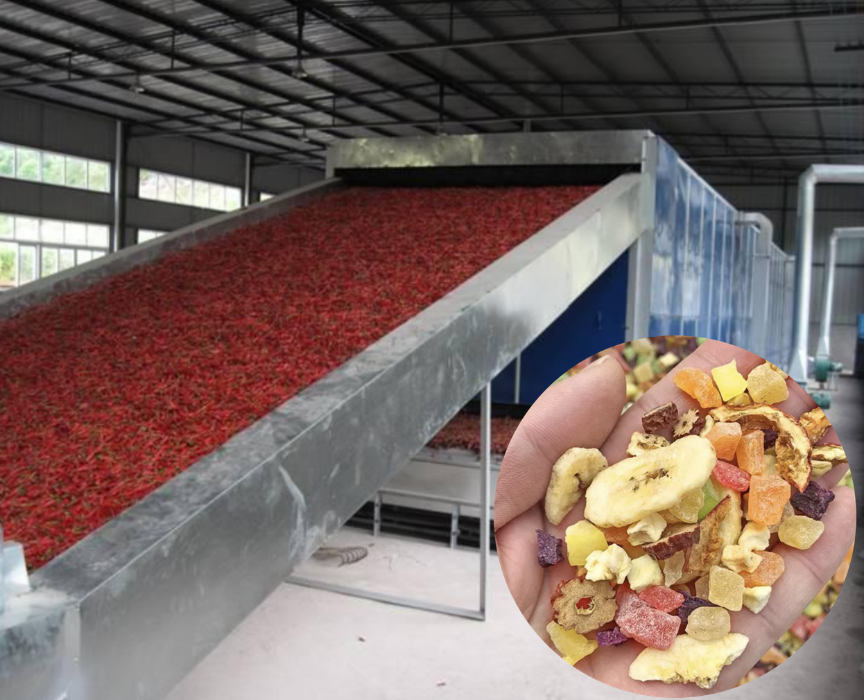 Dehydrated fruit vegetable processing line