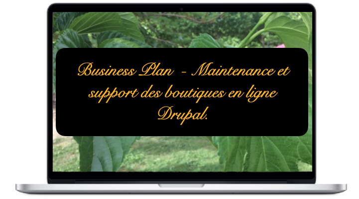 business-maintenance-et-support-des-boutiques-en-ligne-drupal_2
