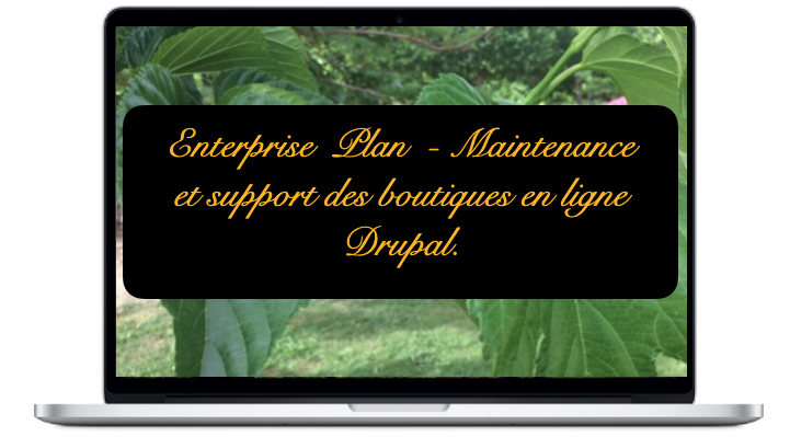 enterprise-maintenance-et-support-des-boutiques-en-ligne-drupal