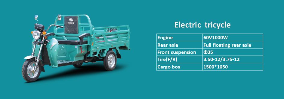 Weichai lovol electric tricycle-family usage