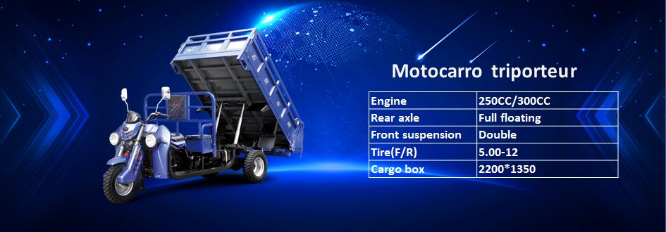 Motocarro triporteur carguero-Weichai lovol 250CC