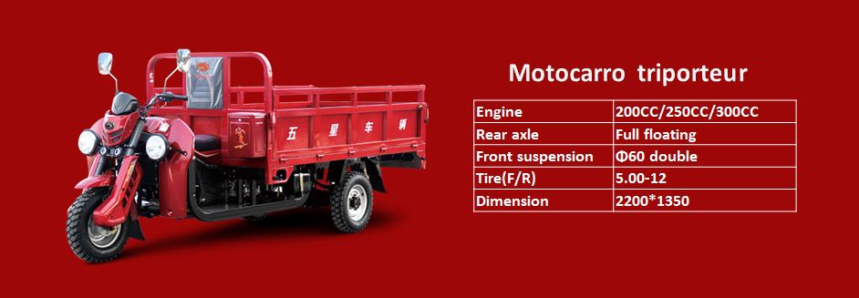 Motocarro triporteur carguero-Weichai lovol 250CC