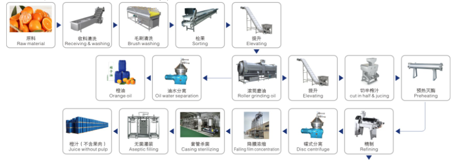 Citrus Processing Line