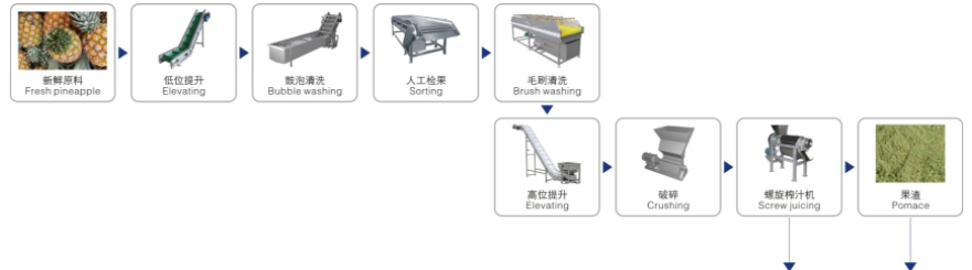 Mango Pineapple Juice Processing Line