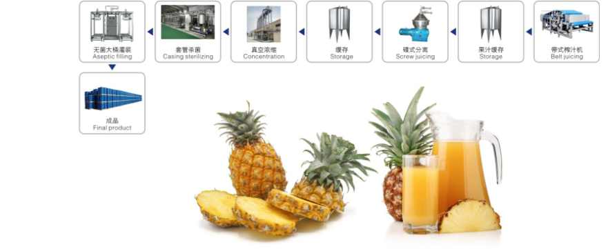 Mango Pineapple Juice Processing Line