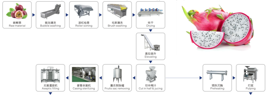 Passion fruit Guava Beverage Processing Line