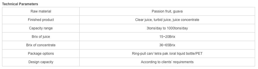 Passion fruit Guava Beverage Processing Line