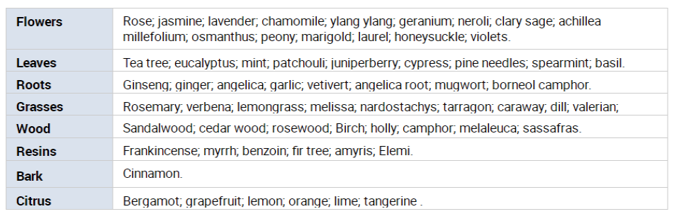 essential oil distillation