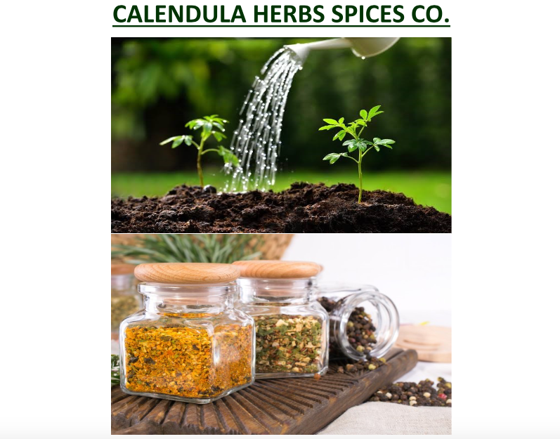 Calendula Herbs Spices For Export