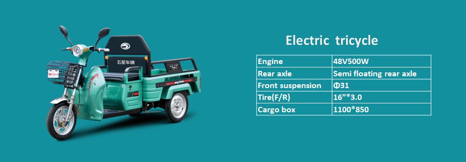 Electric tricycle-family usage