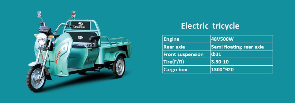 Electric tricycle-family usage