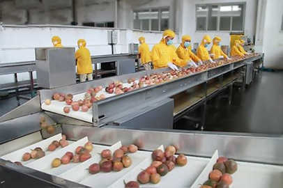 Passion fruit Guava Beverage Processing Line 1