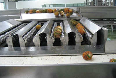 Mango Pineapple Juice Processing Line 1